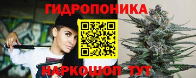 бошки Краснознаменск
