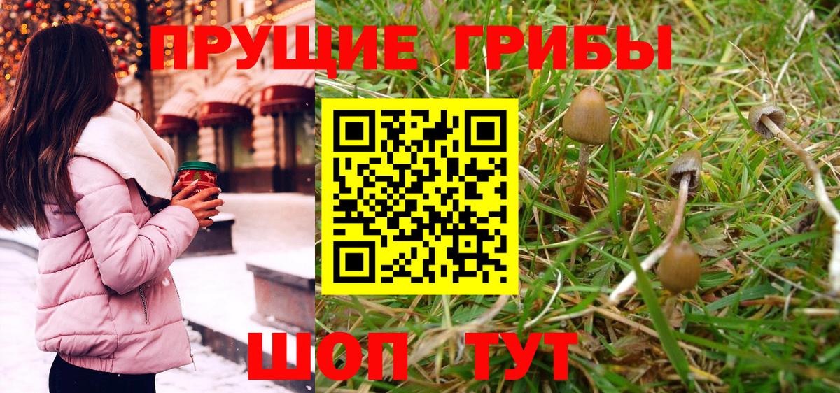 Камышин  Галлюциногенные грибы MAGIC MUSHROOMS  Вход с VPN  Псилоцибиновые грибы Cubensis 