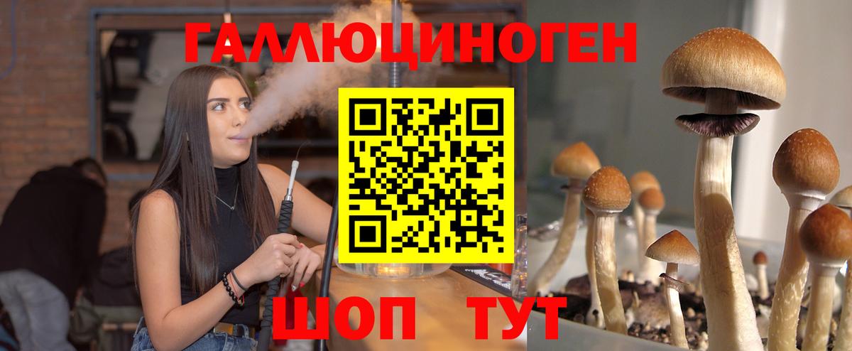 MDMA  КОКАИН  Камышин  Вход с VPN  ГАШ  Каннабис  COCAIN  Меф МЯУ МЯУ кристаллы 