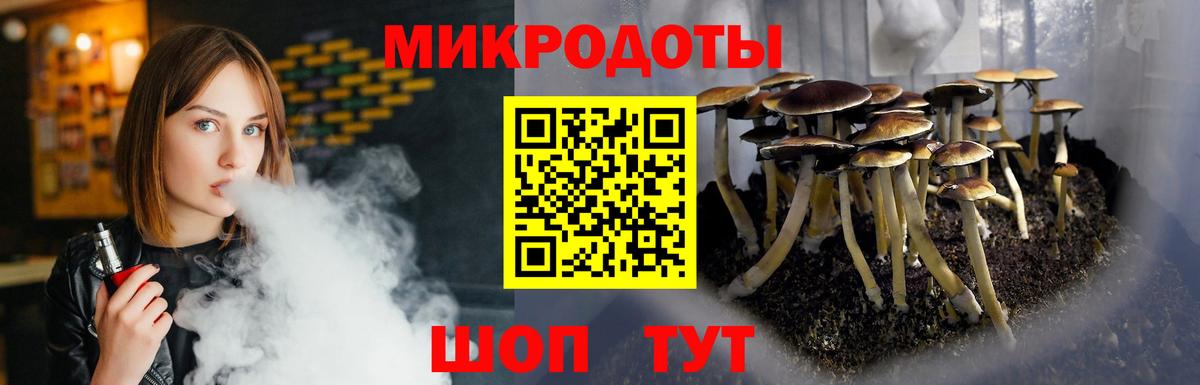 Псилоцибиновые грибы Psilocybine cubensis Камышин